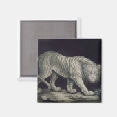 Een slingertijger (potlood op papier) magneet (Voorkant / Achterkant)