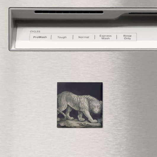 Een slingertijger (potlood op papier) magneet (Insitu (Vaatwasser))