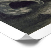 Een slingertijger (potlood op papier) poster (Hoek)