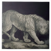 Een slingertijger (potlood op papier) tegeltje (Voorkant)