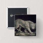 Een slingertijger (potlood op papier) vierkante button 5,1 cm (Voorkant /achterkant)