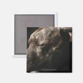 Een slopende hond magneet (Voorkant / Achterkant)