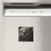 Een slopende hond magneet (Insitu (Vaatwasser))