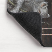 Een Slote uit Mira Calligraphiae Monumenta Muismat (Hoek)