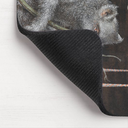 Een Slote uit Mira Calligraphiae Monumenta Muismat (Hoek)