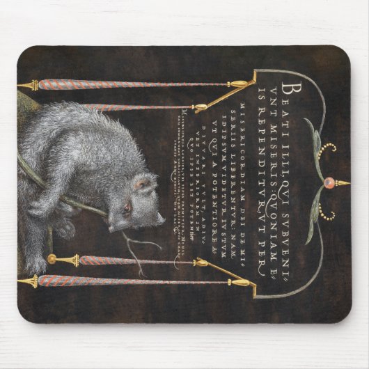 Een Slote uit Mira Calligraphiae Monumenta Muismat (Voorkant)