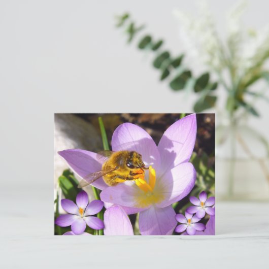 EEN SMAAK VAN SPRING! Eigen Tekst Briefkaart (Staand voorkant)