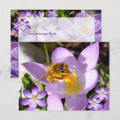 EEN SMAAK VAN SPRING! Eigen Tekst Briefkaart (Voorkant / Achterkant)