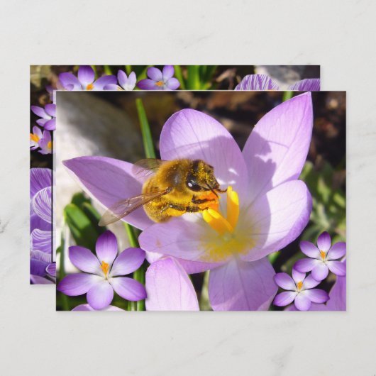 EEN SMAAK VAN SPRING! Eigen Tekst Briefkaart (Voorkant / Achterkant)