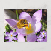 EEN SMAAK VAN SPRING! Eigen Tekst Briefkaart (Voorkant)