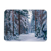 Een sneeuwpad in het bos, de winter magneet (Horizontaal)