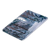 Een sneeuwpad in het bos, de winter magneet (Linkerzijde)