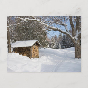 Een sneeuwscène op de kleine Lyford Pond van de AM Briefkaart