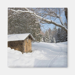 Een sneeuwscène op de kleine Lyford Pond van de AM Magneet