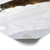 Een sneeuwscène op de kleine Lyford Pond van de AM Poster (Hoek)