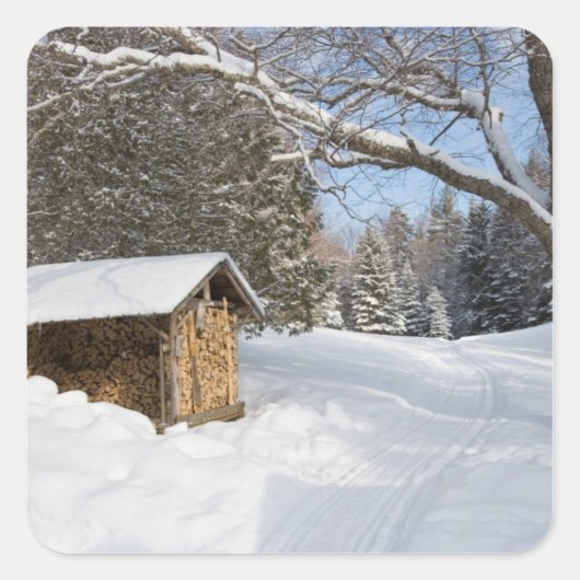 Een sneeuwscène op de kleine Lyford Pond van de AM Vierkante Sticker (Voorkant)