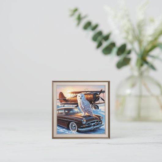 Een sneeuwuil, een vliegtuig en een oldtimer informatiekaartje (Staand voorkant)