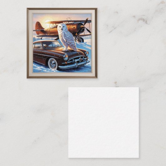 Een sneeuwuil, een vliegtuig en een oldtimer informatiekaartje (Voorkant / Achterkant)