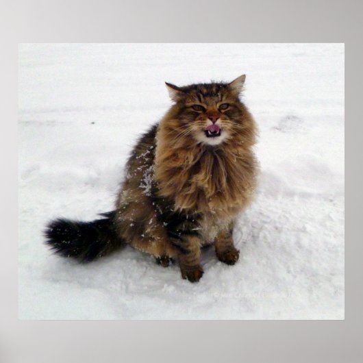 Een sneeuwvlok vangen poster (Voorkant)