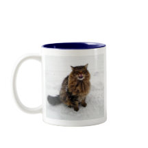 Een sneeuwvlok vangen