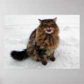 Een sneeuwvlokje vangen poster (Voorkant)