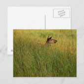 Een snel Briefkaart (Voorkant / Achterkant)