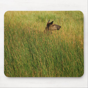 Een snelle piek-mousepad muismat