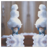 Een Snowman V Stof (Close Up)