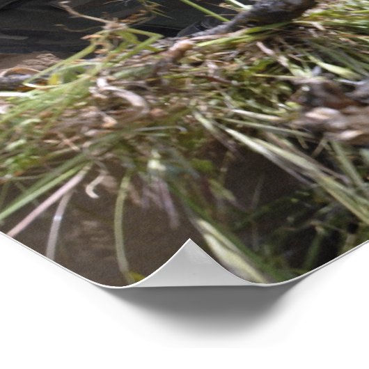 Een soldaat met MK-19 granaatwerper Poster (Hoek)