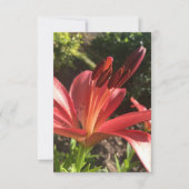 Een "Solid Red Flower"-kaart van Z Bedankkaart (Voorkant)