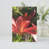 Een "Solid Red Flower"-kaart van Z Bedankkaart (Staand voorkant)