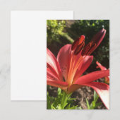 Een "Solid Red Flower"-kaart van Z Bedankkaart (Voorkant / Achterkant)