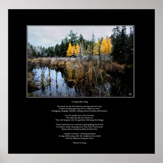 Een Song Sung Poster Poem en Afbeelding (Voorkant)