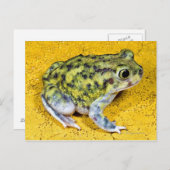 Een spadevoetpad briefkaart (Voorkant / Achterkant)