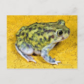 Een spadevoetpad briefkaart (Voorkant)