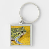 Een spadevoetpad sleutelhanger (Voorkant)