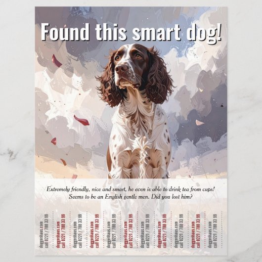 Een Spaniel Tear Off Flyer gevonden (Voorkant)