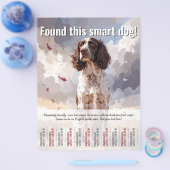 Een Spaniel Tear Off Flyer gevonden (Enkel)