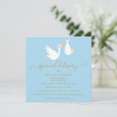 Een speciale bezorging Ooievaar Baby Borrel / Show Kaart (Staand voorkant)