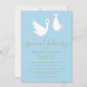 Een speciale bezorging Ooievaar Baby Sprinkle / Sh Kaart (Voorkant)