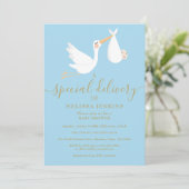 Een speciale bezorging Ooievaar Baby Sprinkle / Sh Kaart (Staand voorkant)