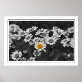 Een speciale dag poster (Voorkant)