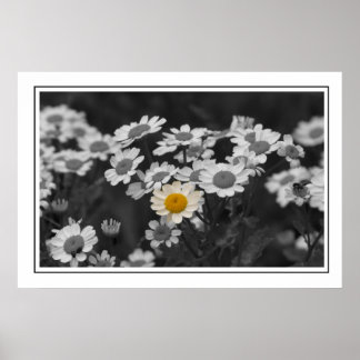 Een speciale dag poster