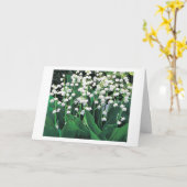 EEN SPECIALE KAART VOOR EEN SPECIALE VROUW (Gele Bloem)