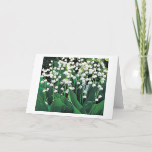 EEN SPECIALE KAART VOOR EEN SPECIALE VROUW