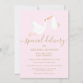 Een speciale levering Ooievaar Baby shower / Sprin Kaart (Voorkant)