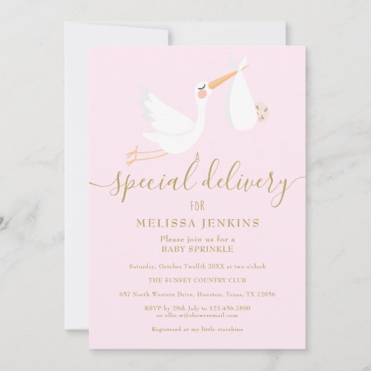 Een speciale levering Ooievaar Baby shower / Sprin Kaart (Voorkant)