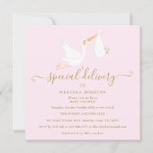 Een speciale levering Ooievaar Baby shower / Sprin Kaart (Voorkant)