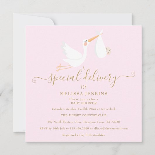 Een speciale levering Ooievaar Baby shower / Sprin Kaart (Voorkant)