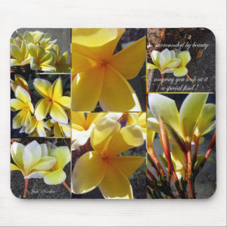 Een speciale zoekopdracht muismat